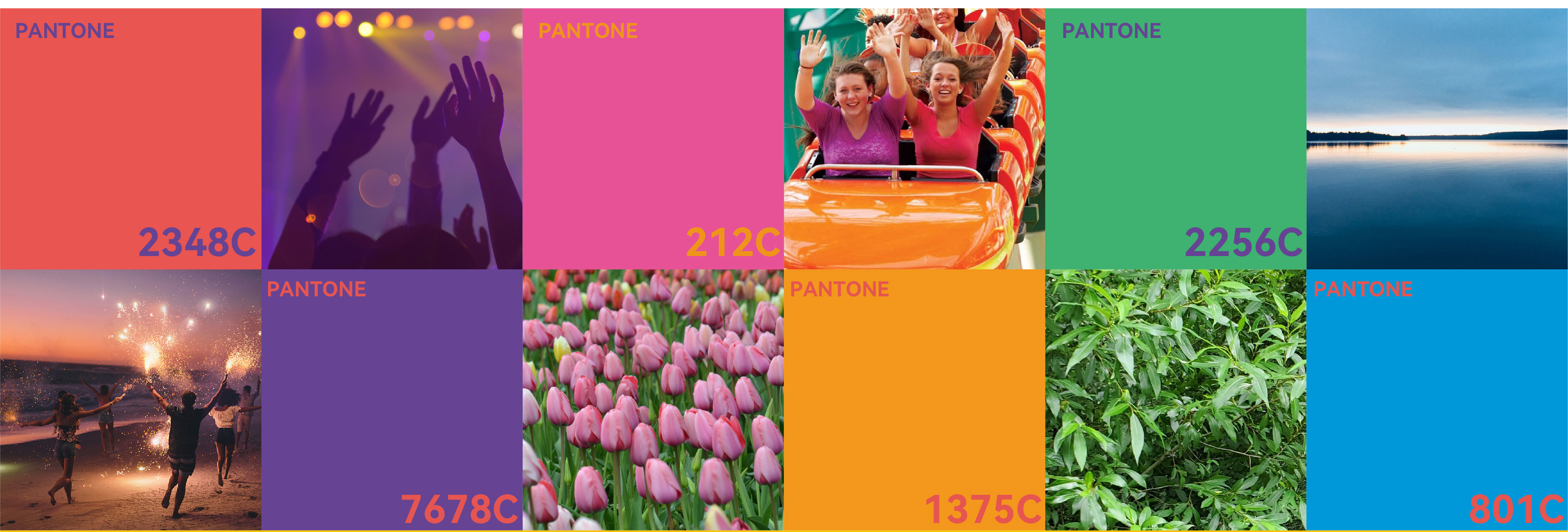 1641796144623681.jpg 中国摩_08.jpg