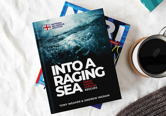 Book excerpt thumb