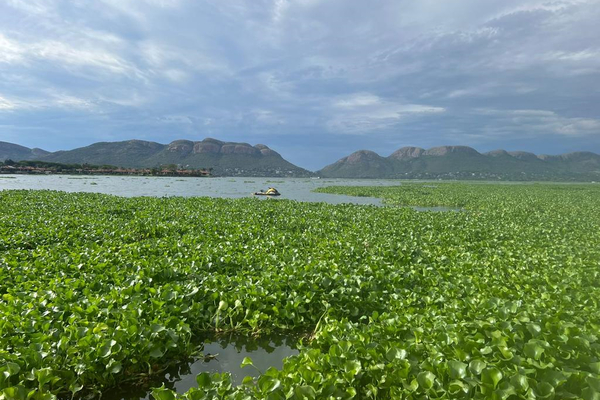 Hartbeespoort Dam