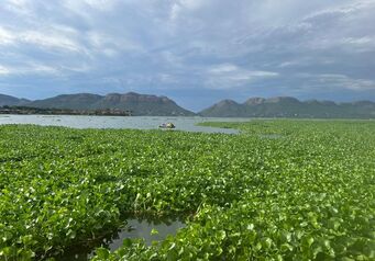 Hartbeespoort Dam