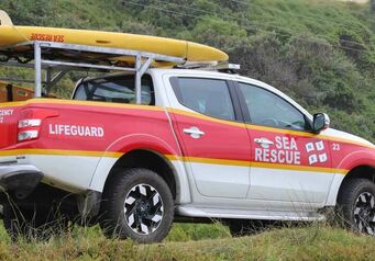 Mailerlifeguards