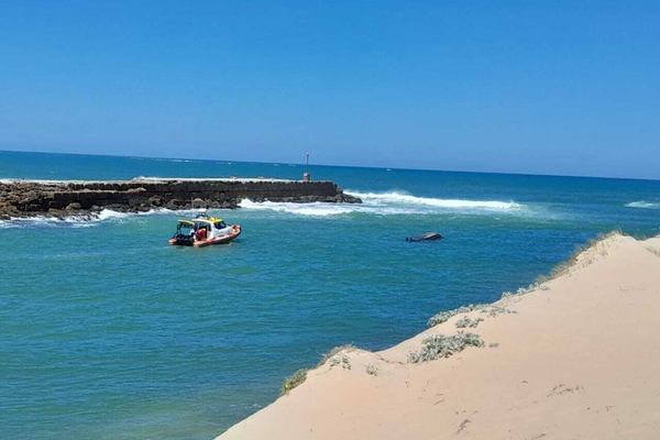 Nsri port alfred rescue