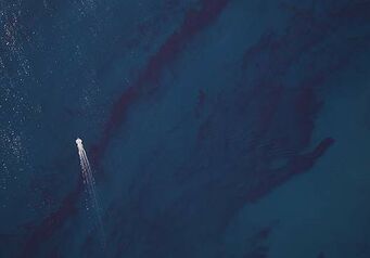 Red tide