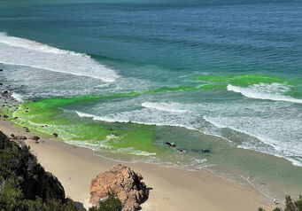 Rip currents thumb