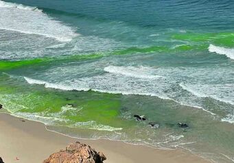 Rip Currents