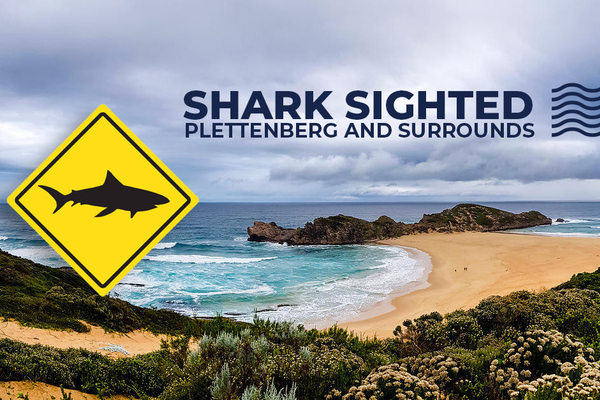 SHARK SIGHTING Plett