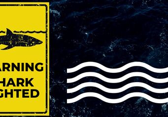 SHARK SIGHTING TEMPLATE GENERIC