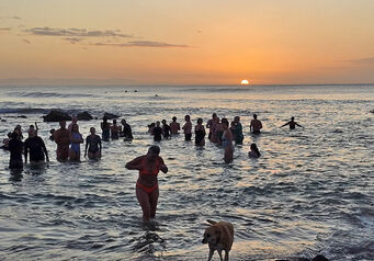 Soltice swim challenge thumb 824x572