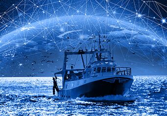 Starlink connectivite oceanbox thalos