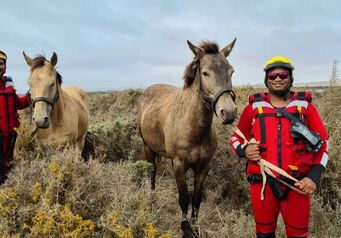 Stn 43 Port Nolloth Horse Rescue