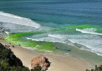 Thumb Rip Current Dye Image