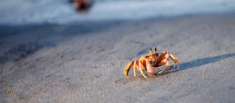 1636607608595413.png 品牌标志