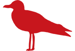 Seabird